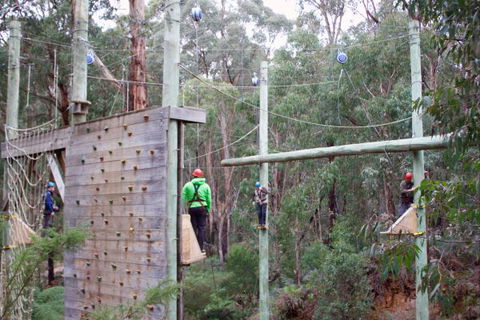 Kinglake Forest Adventures Camp - Hotel Accommodation 2