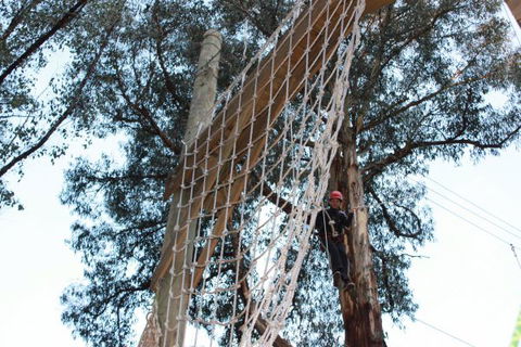 Kinglake Forest Adventures Camp - Hotel Accommodation 4