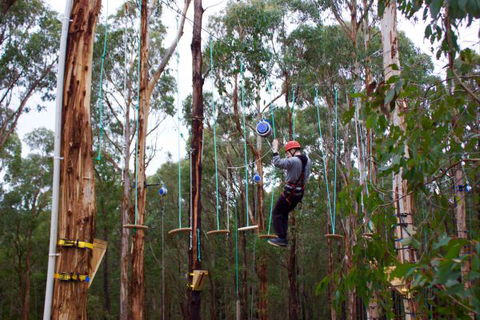 Kinglake Forest Adventures Camp - Hotel Accommodation 5