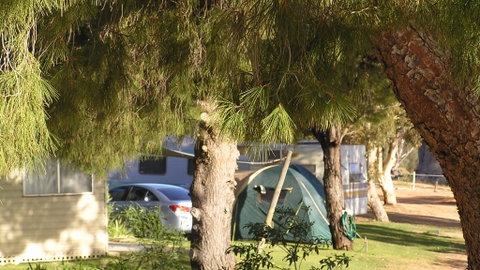 Barmera North Lake Caravan Park - Hotel Accommodation 4
