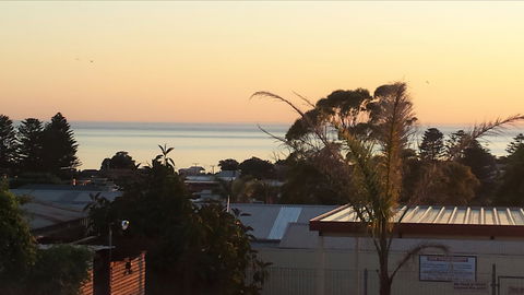 Oyster Court Motel And Holiday Units - Hotel Accommodation 0