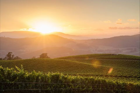 Mt Bellevue Lodge - King Valley - Hotel Accommodation 1