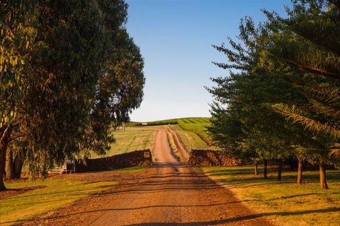 Mt Bellevue Lodge - King Valley - Hotel Accommodation 3