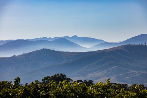Mt Bellevue Lodge - King Valley - Hotel Accommodation 4