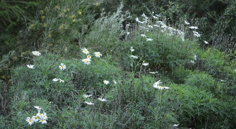 Northam Caravan Park - Hotel Accommodation 2