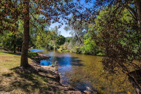 Porepunkah Bridge Holiday Park - Hotel Accommodation 5