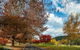 Porepunkah Bridge Holiday Park - thumb 6