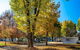 Porepunkah Bridge Holiday Park - thumb 8