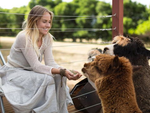 Samadhi Spa And Wellness Retreat - Hotel Accommodation 7