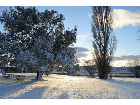 Snowy Mountains Resort And Function Centre - Hotel Accommodation 0
