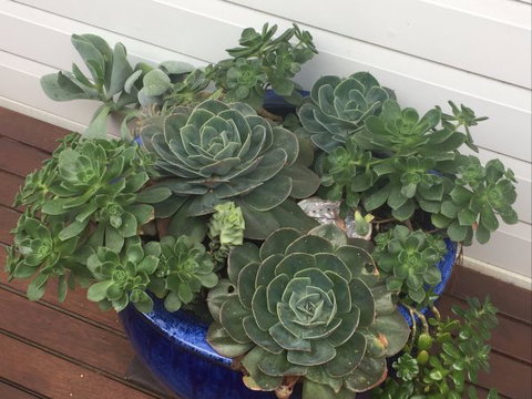 Springtide Studio Apartments - Hotel Accommodation 9