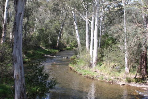 Stockyard Creek - Hotel Accommodation 2