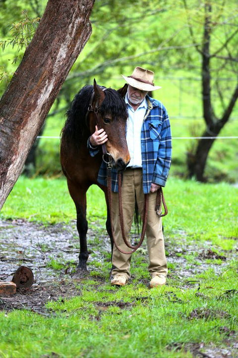 Stockyard Creek - Hotel Accommodation 4