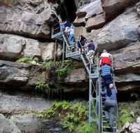 Takarakka Bush Resort Carnarvon Gorge - Hotel Accommodation