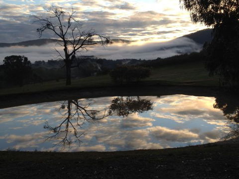 The Black Sparrow - Hotel Accommodation 1