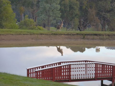 The Black Sparrow - Hotel Accommodation 3