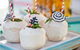 Watsons Bay Boutique Hotel - thumb 4