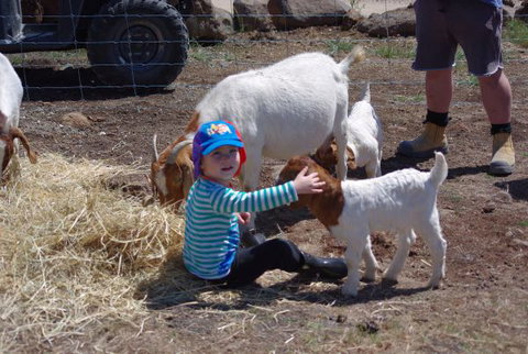 Yalooka Farm - Hotel Accommodation 3