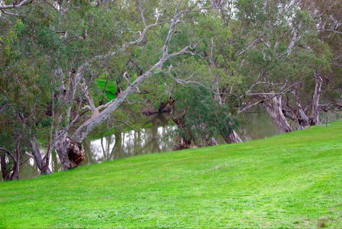 Yalooka Farm - Hotel Accommodation 4