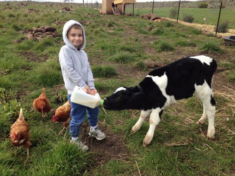 Yalooka Farm - Hotel Accommodation 8