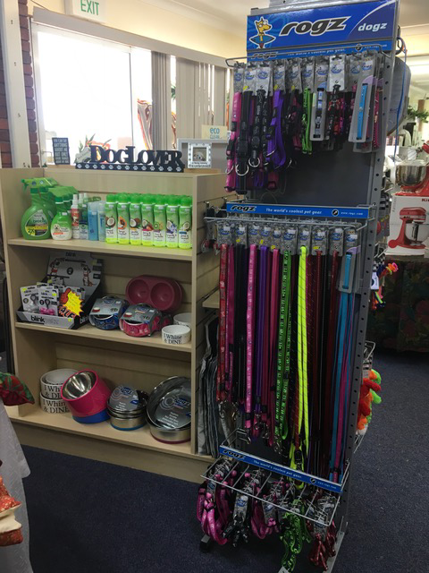 Tropical Fantasy - Hotel Accommodation 1