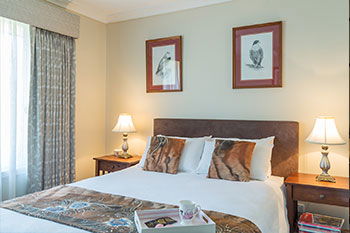 Austin Rise B&B - Hotel Accommodation 1