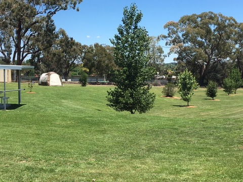 Canobolas Caravan Park - Hotel Accommodation 10