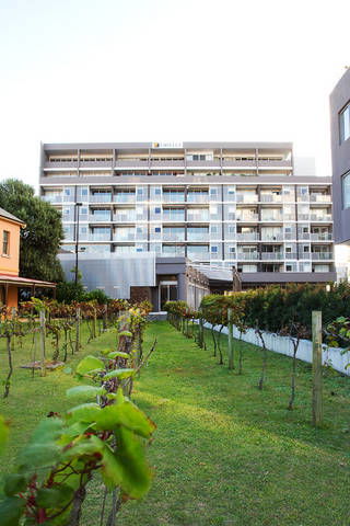 B7 Honeysuckle Apartments - Hotel Accommodation 1