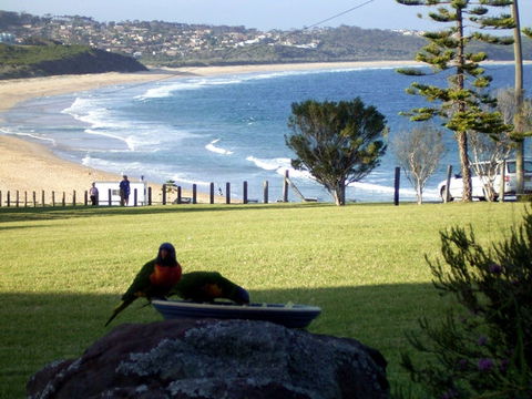 Beach Cabins Merimbula - Hotel Accommodation 5