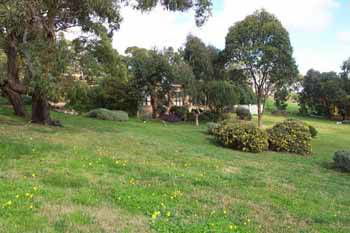 Bellbrae Motel - Hotel Accommodation 1