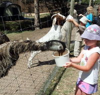 BIG4 Bairnsdale Holiday Park - Hotel Accommodation