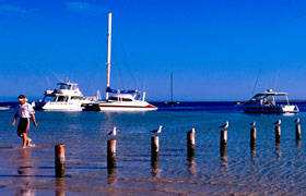 Blue Dolphin Caravan Park & Holiday Village - Hotel Accommodation 4