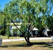 Blue Topaz Caravan Park  Camping Ground - Hotel Accommodation