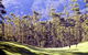 Bonville Golf Resort - thumb 4