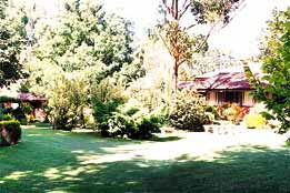 Boronia Holiday Lodge - Hotel Accommodation 0