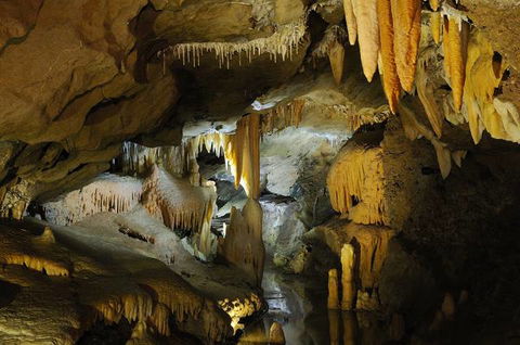 Buchan Caves Reserve - Hotel Accommodation 4