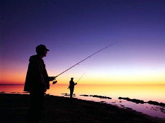 Budgewoi Holiday Park - Hotel Accommodation 2