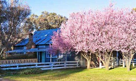 Bushlands Tourist Park - Hotel Accommodation 3
