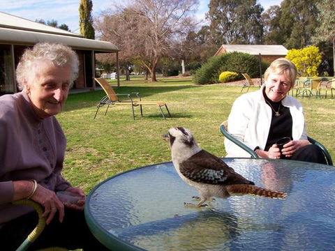 Cadell On The Murray Motel Resort - Hotel Accommodation 6