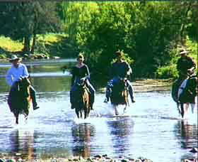 Colonial Motor Lodge - Hotel Accommodation 2