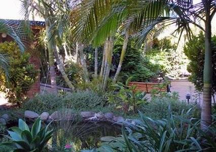 Comfort Inn Bert Hinkler - Hotel Accommodation 3