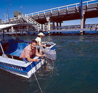 Comfort Inn Mandurah - Hotel Accommodation