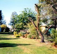 Condamine River Caravan Park - Hotel Accommodation