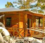 Cradle Chalet - Hotel Accommodation