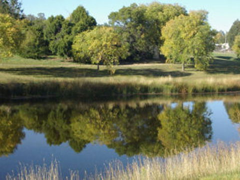 Bombala Caravan Park - Hotel Accommodation 1