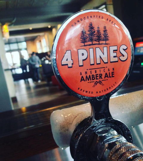 The Burwood Inn - Hotel Accommodation 1