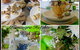 Kanangra Heights Restaurant & Function Centre - thumb 2