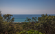 Grass Trees On Straddie - thumb 4