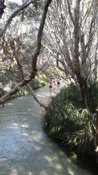 Pippies Fraser Island Tours - Hotel Accommodation 0