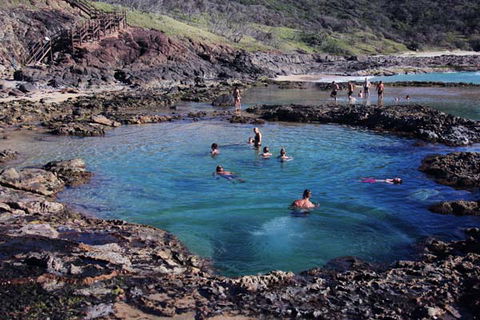 Pippies Fraser Island Tours - Hotel Accommodation 5